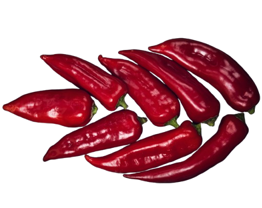 Kapya Biber